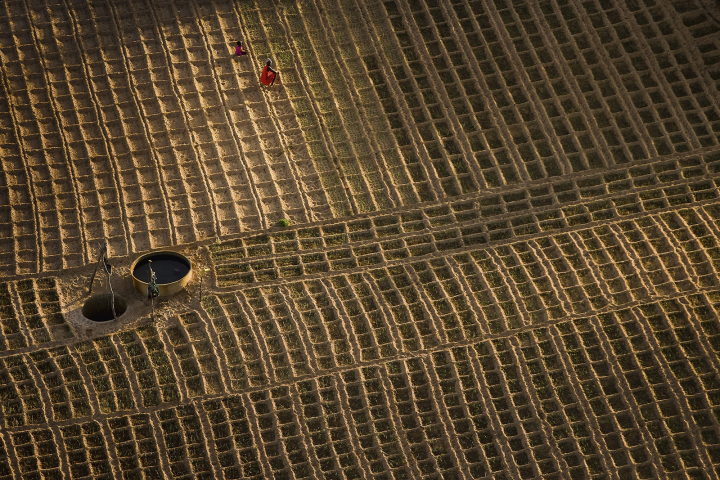 Photographie de Yann Arthus-Bertrand.