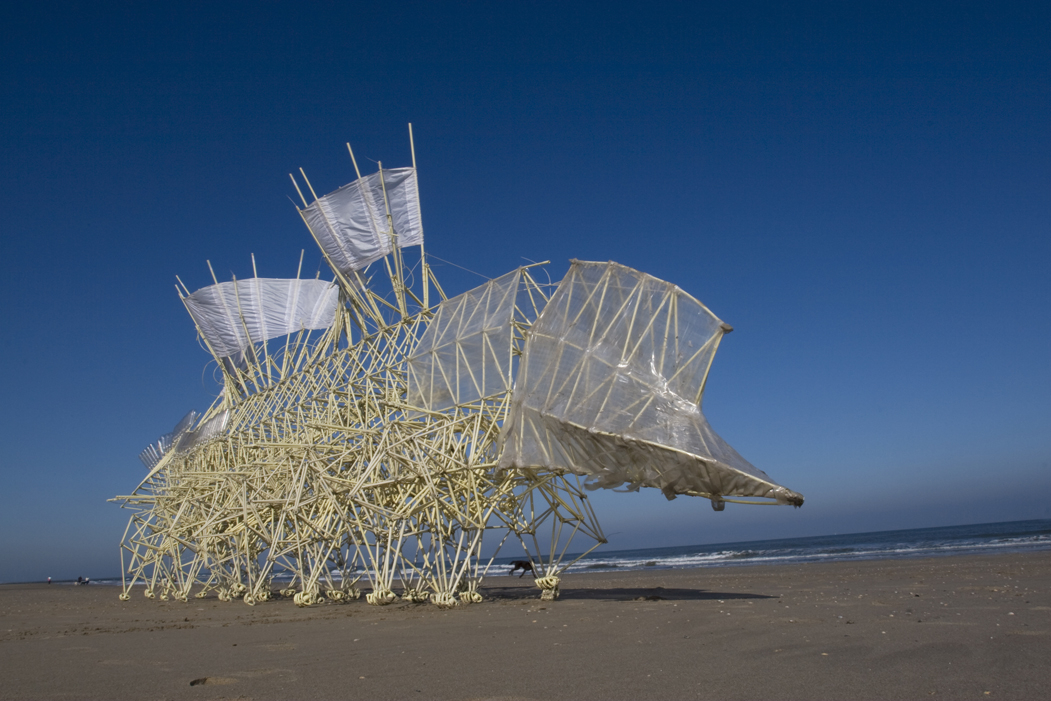 merus, Loek van der Klis, Theo Jansen